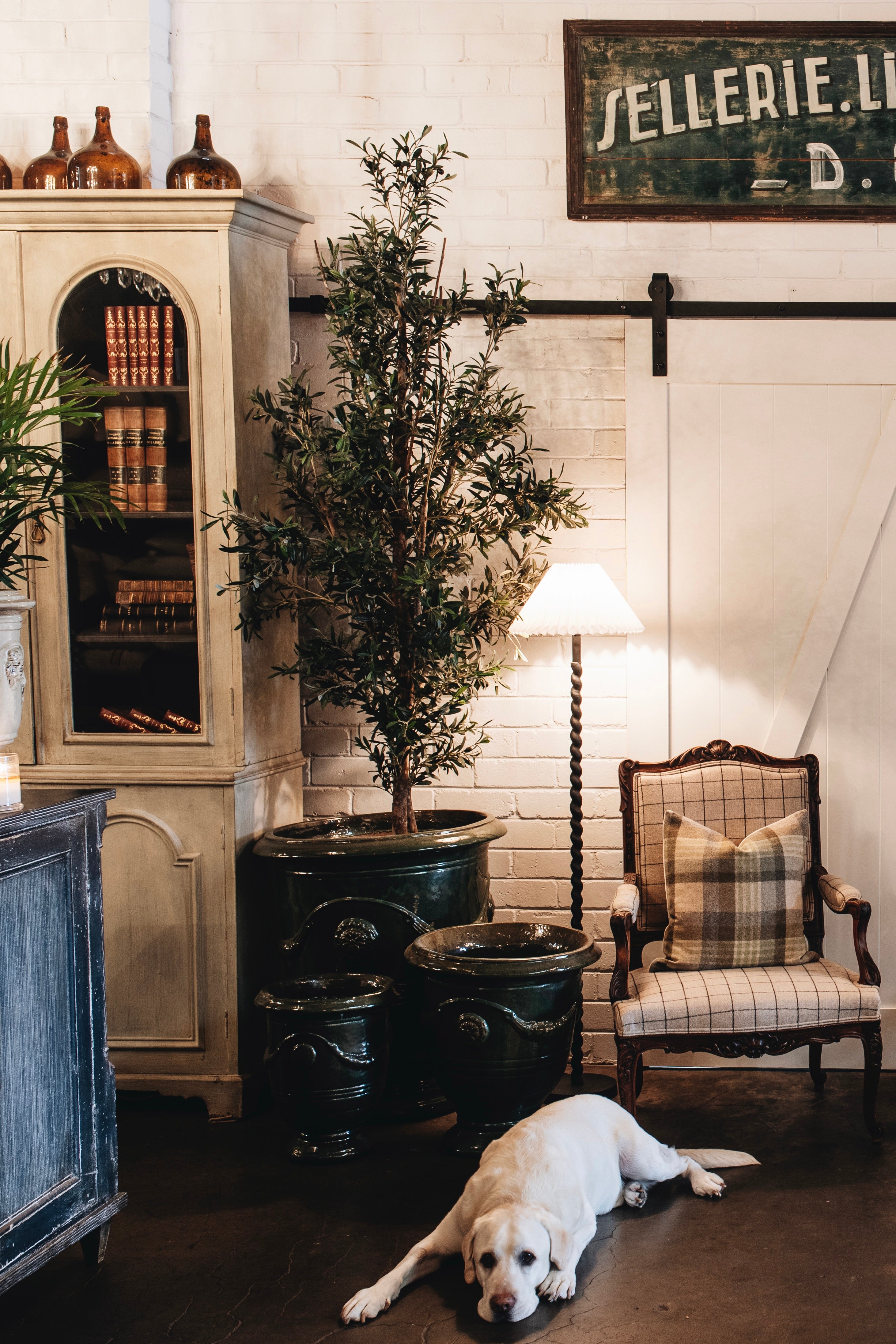 Showroom Gallery