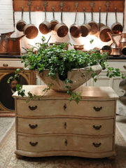 18th Century French Pine Serpentine Commode