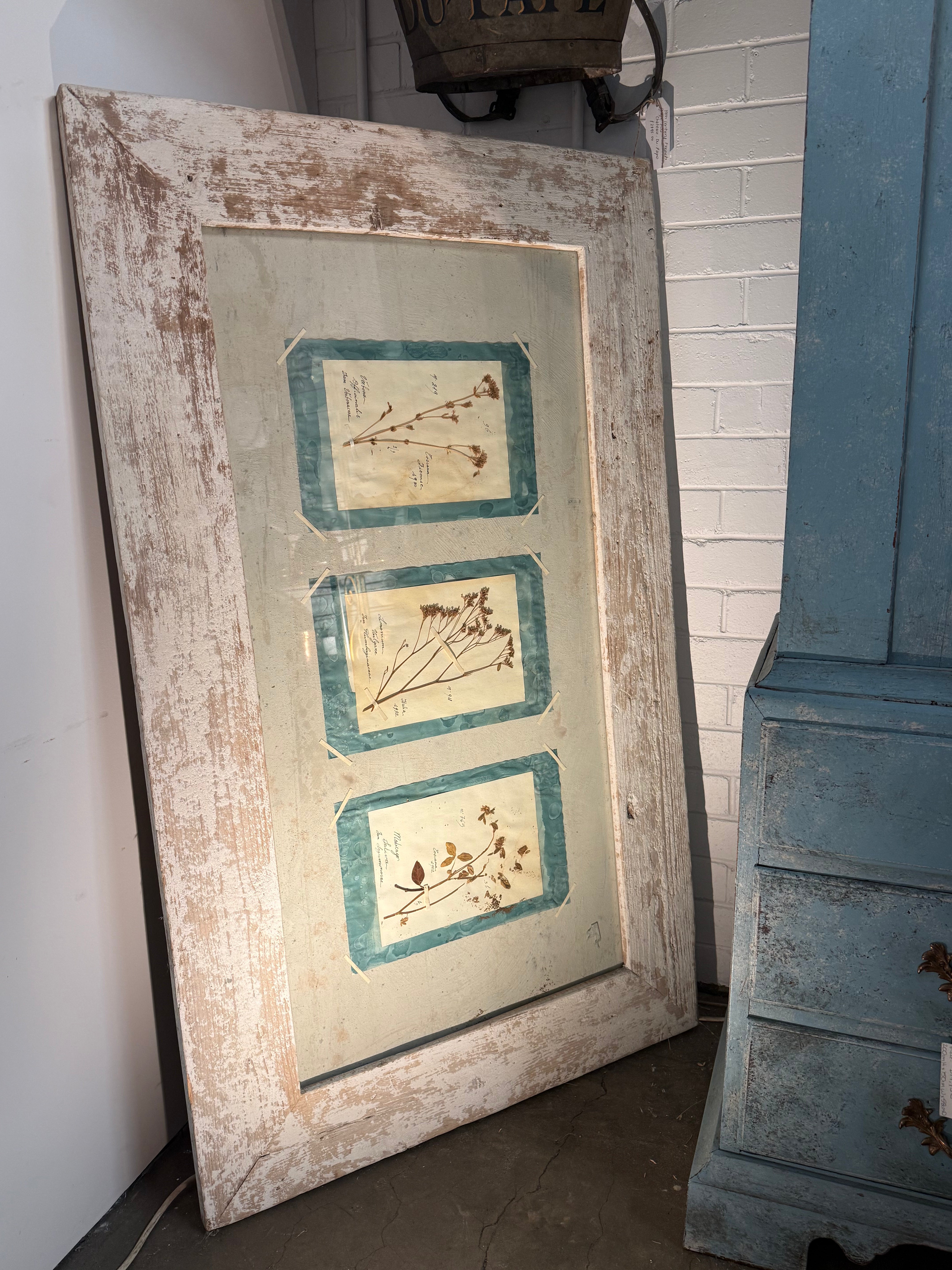 Shades Of Pale: French Antiques, Sydney