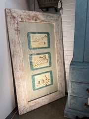 Italian Framed Herbarium 1902-1932