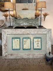 Italian Framed Herbarium 1902-1932